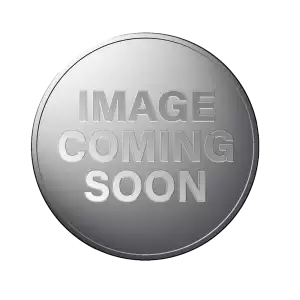1/10 oz Platinum Generic Round