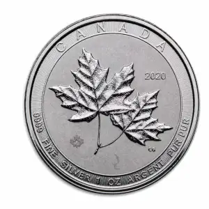 2 oz Canadian Twin Maple Leaf Silver Coin