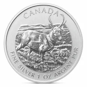 2013 1oz Canadian Silver Wildlife Series - Pronghorn Antelope