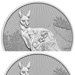 Any Year 2oz Australian Perth Mint Silver Coin